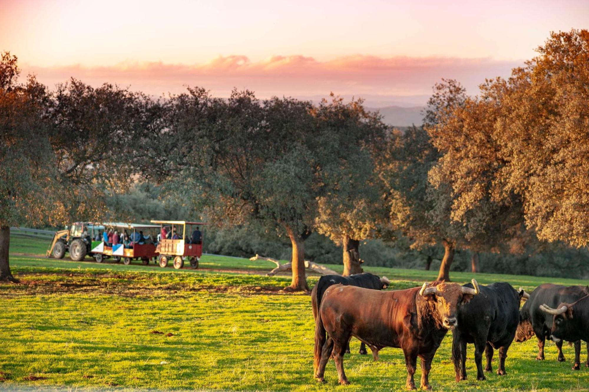 לינארס Finca El Cotillo מראה חיצוני תמונה