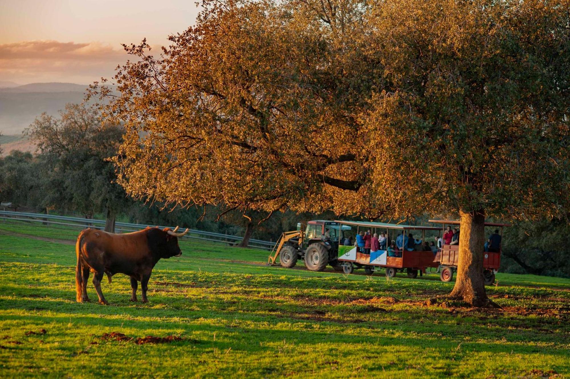 לינארס Finca El Cotillo מראה חיצוני תמונה